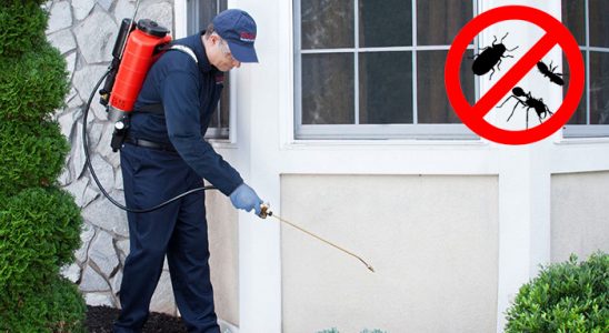 Sarayköy Akrep İlaçlama böcek ilaçlama ve haşere kontrolü — ilaclama-tr.com